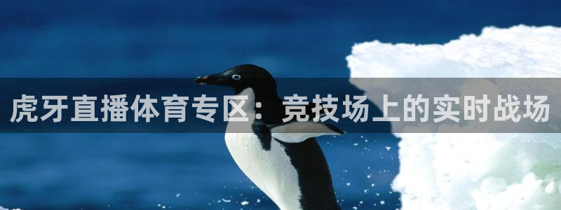 河豚直播nba免费观看