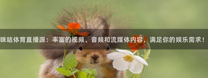 河豚直播看球app下载最新版